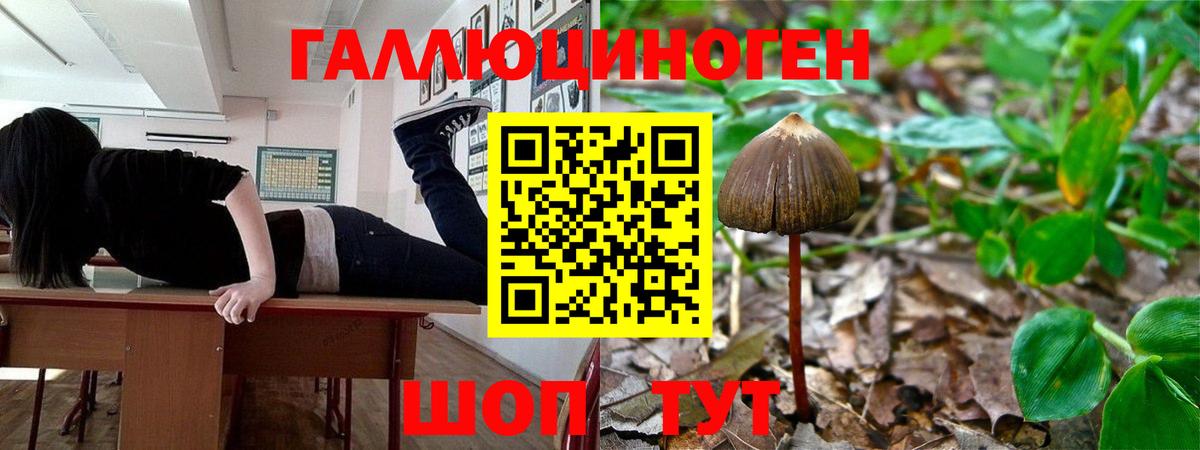 Канабис Кострома