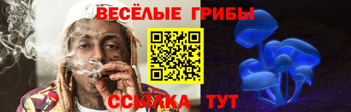 Кострома  Галлюциногенные грибы Magic Shrooms  Галлюциногенные грибы ЛСД  Вход с VPN 